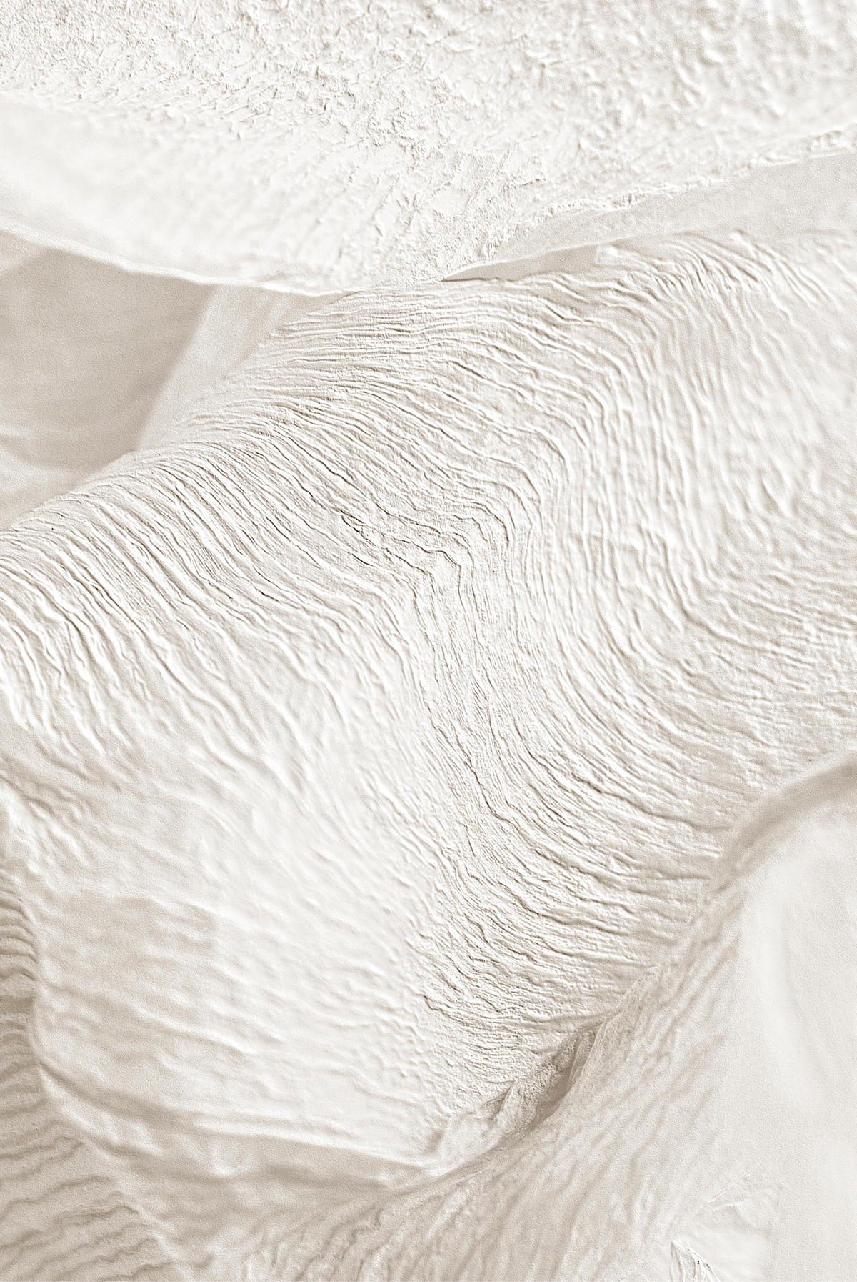 Close up of delicate white hydrangea flowers